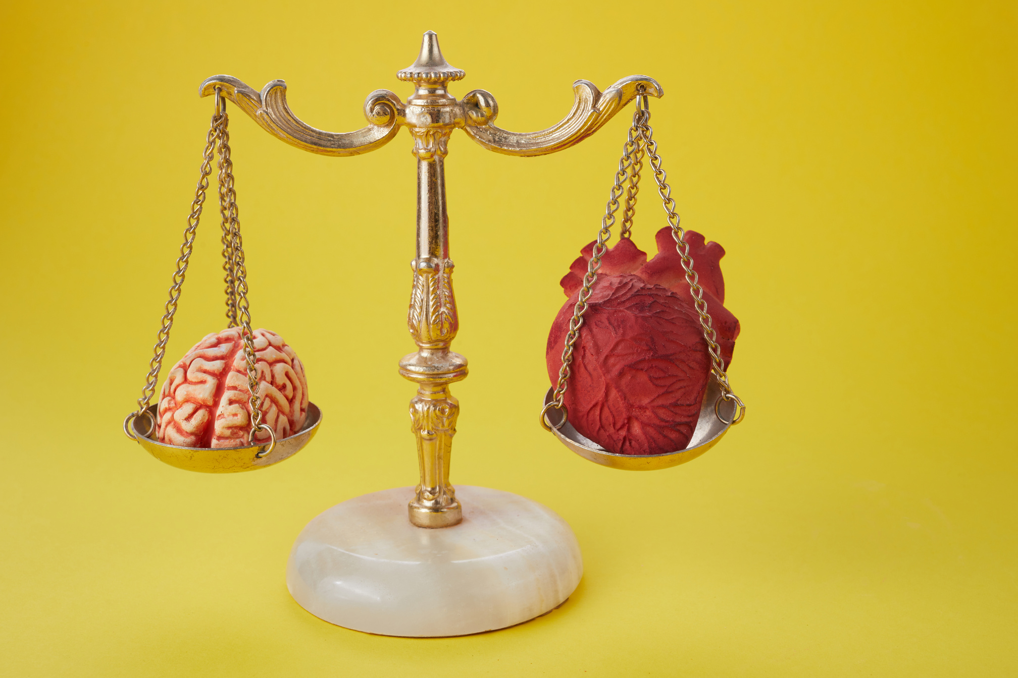 Brain and Heart on a Balancing Scale 